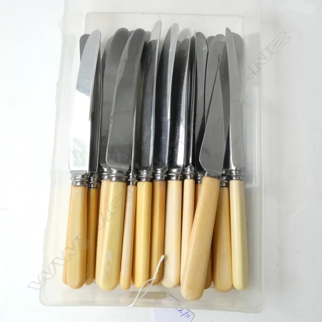 22 VINTAGE ‘BONE’ HANDLE DINNER KNIVES  Image 1++