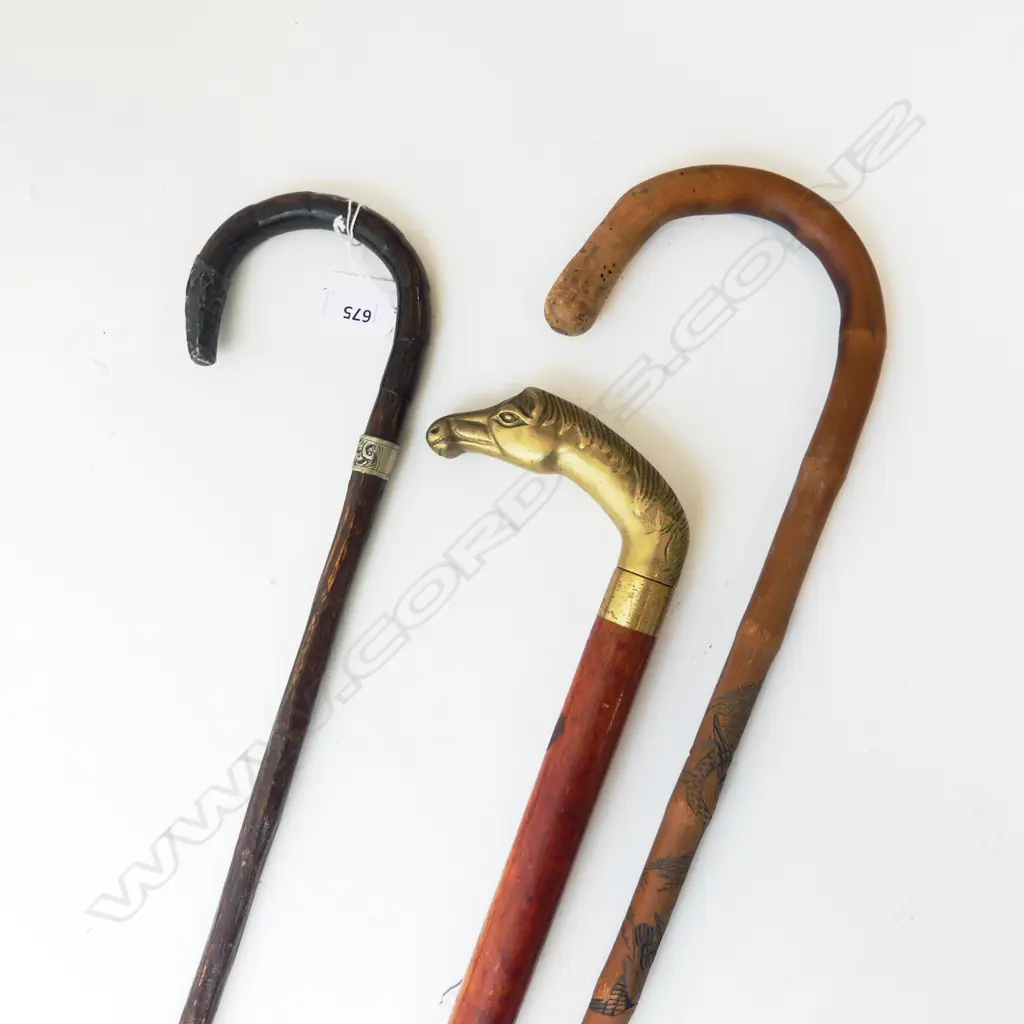 3 WALKING STICKS L.930mm Image 1++