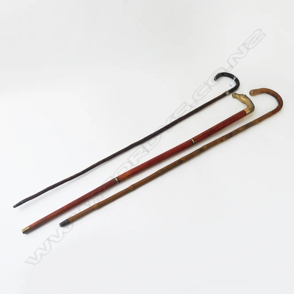3 WALKING STICKS L.930mm Image 1++