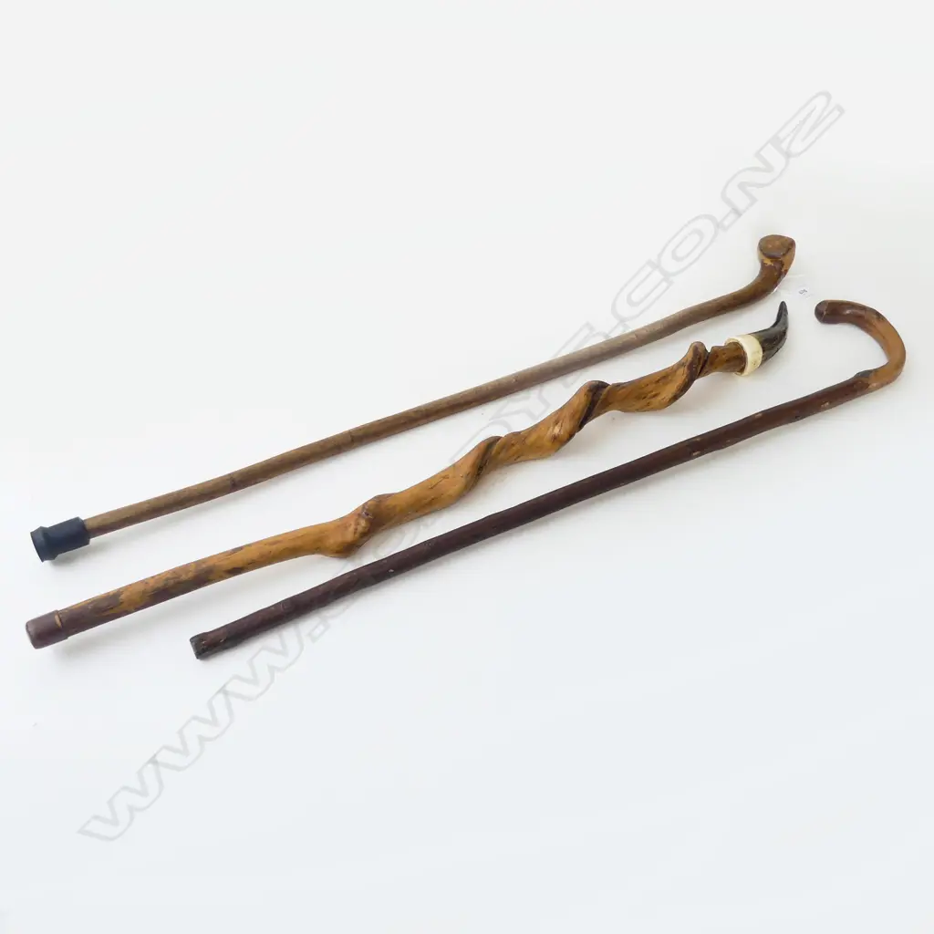 3 WALKING STICKS L.1000mm Image 1++