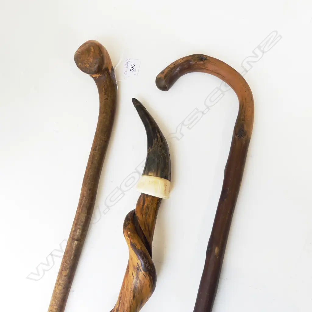 3 WALKING STICKS L.1000mm Image 1++