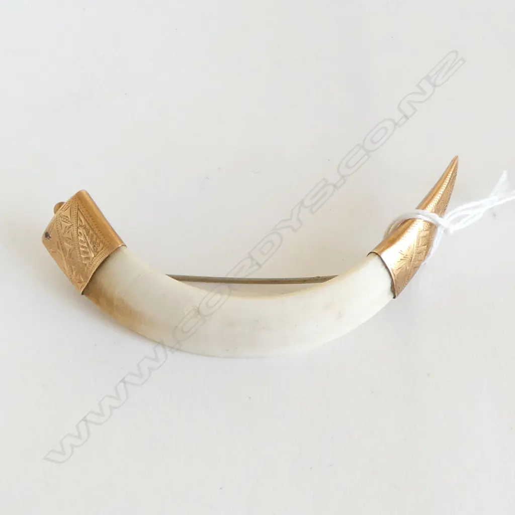 15ct GOLD MOUNTED TUSK BROOCH W.90mm engraved gold mounts 16gms total Image 1++