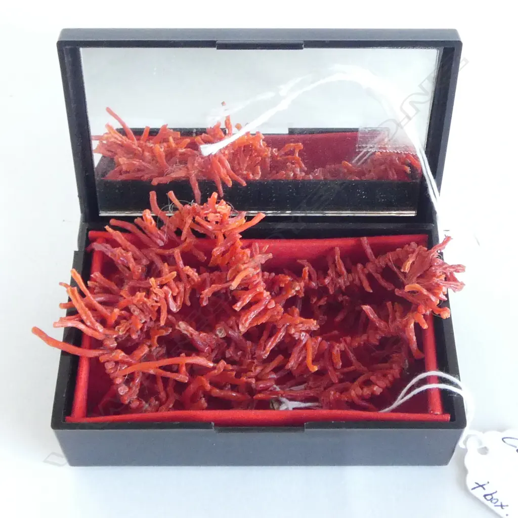 MEDITERRANEAN CORAL BRANCH NECKLACE in box Image 1++