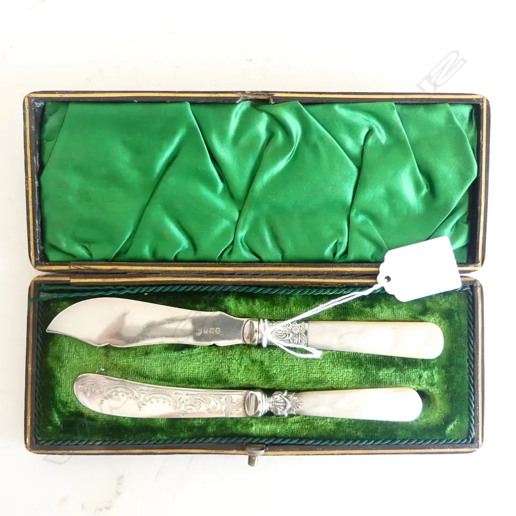 BOXED ANTIQUE 2 SILVER PLATE & MOP KNIVES (CD7789) Image 1++