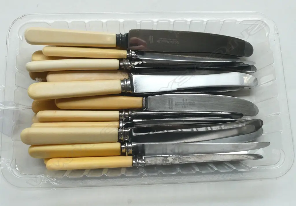 24 VINTAGE ‘BONE’ HANDLE KNIVES SHEFFIELD ASST. MAKERS Image 1++