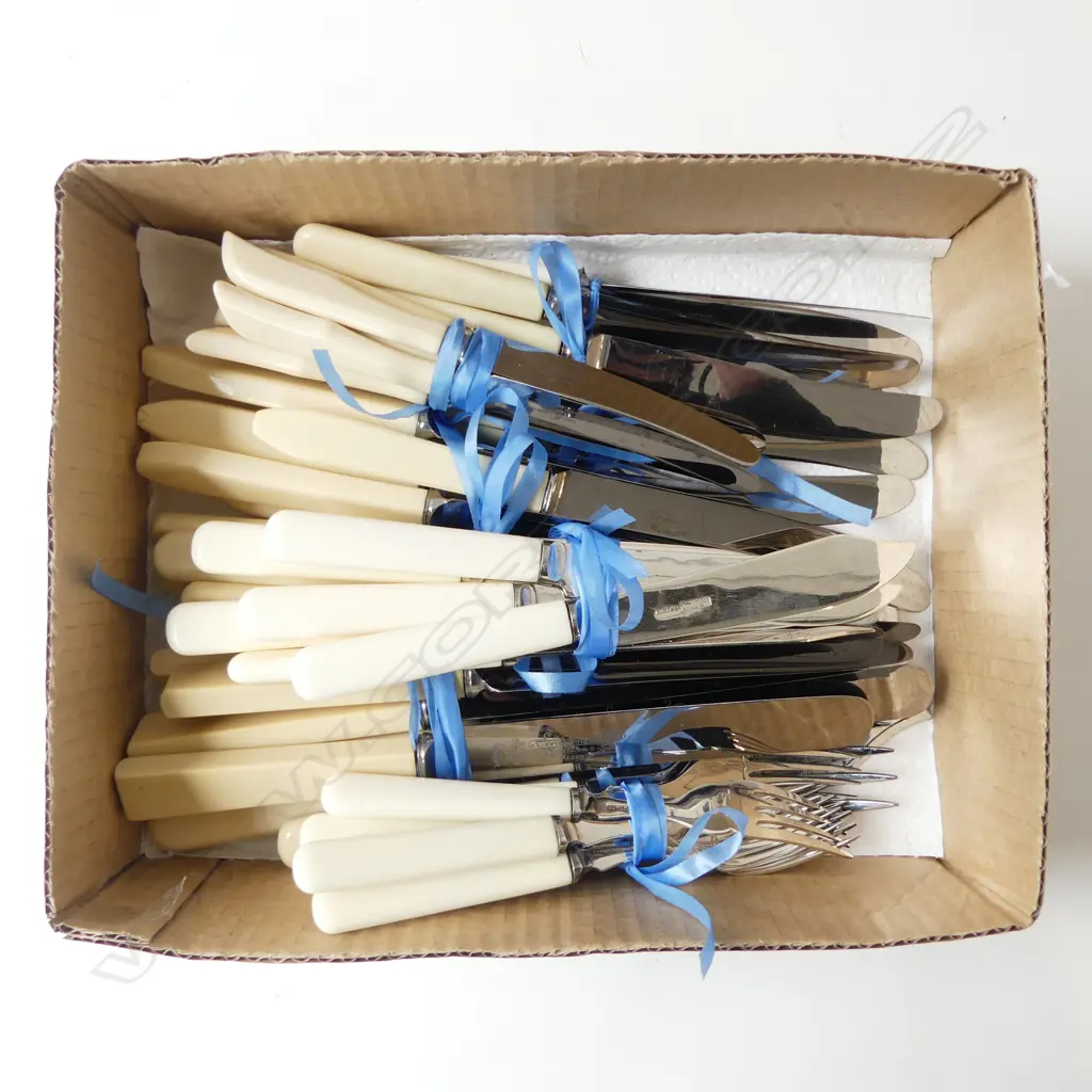 ASST IVORINE HANDLED KNIVES; 10 LG KNIVES, 13 SML KNIVES, 6 FISH SERVERS, 6 PATE Image 1++