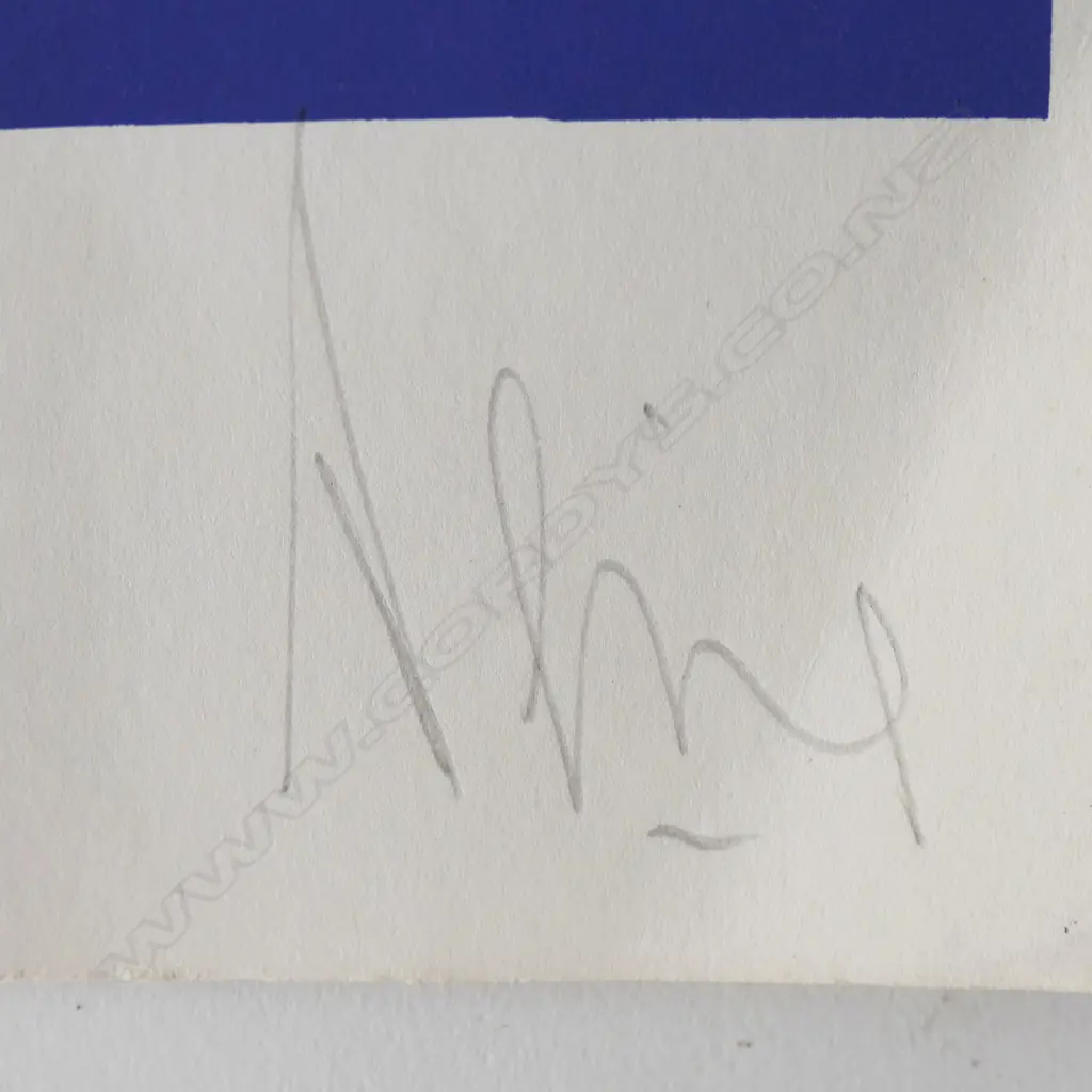 Luc PEIRE (1916-1994)  serigraph in colours 'Auckland' 500 x 310mm. Signed entitled & numbered 12/90.... Image 1++