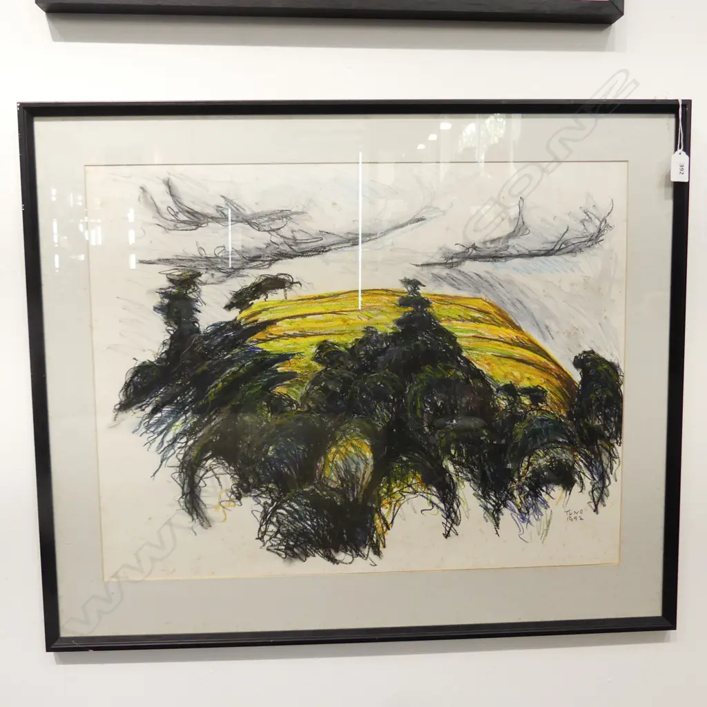 GEOFFREY TUNE, MT EDEN, PASTEL, SIGNED & DATED '92, 495 635mm Image 1++
