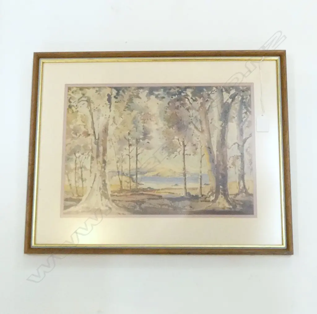 BIRTCHNELL DELPH, LANDSCAPE WC, 250x360mm Image 1++