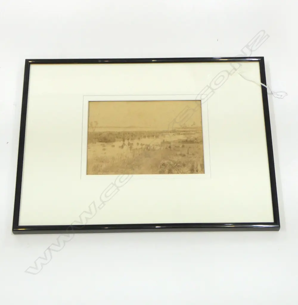 BURTON BROS ALBUMEN PHOTOGRAPH HUNTLY WAIKATO 135 X 190MM Image 1++