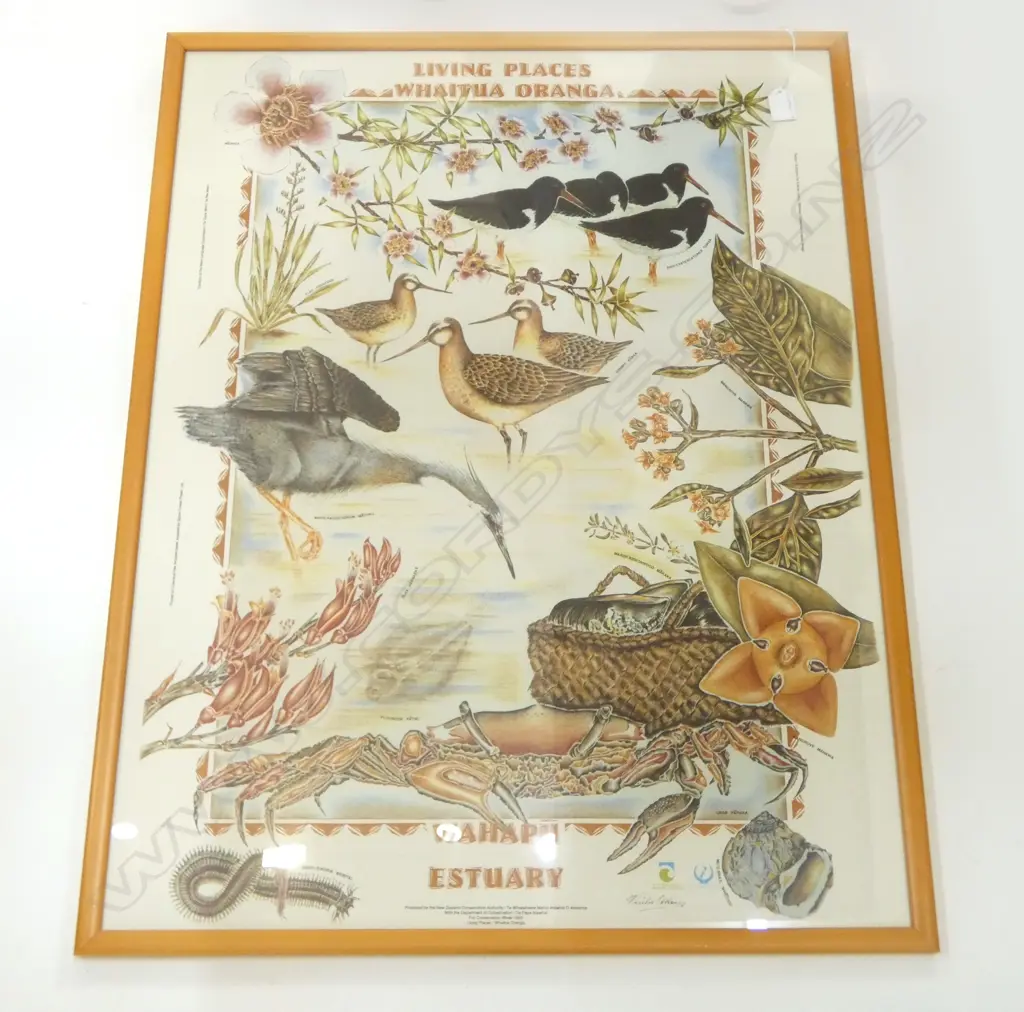 FRAMED PRINT OF NZ NATIVE FLORA & FAUNA 860x630mm Image 1++