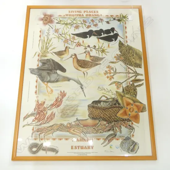 FRAMED PRINT OF NZ NATIVE FLORA & FAUNA 860x630mm