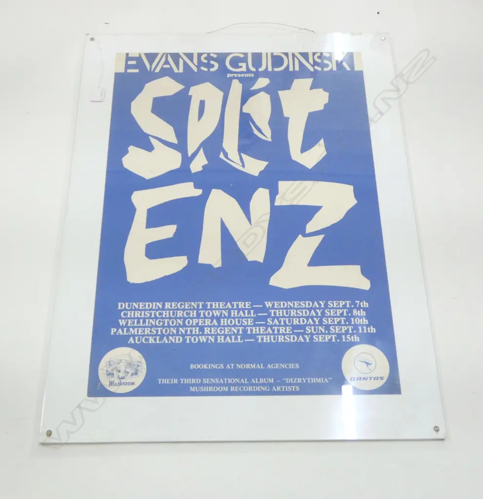 SPLIT ENZ TOUR POSTER 480x680mm Image 1++