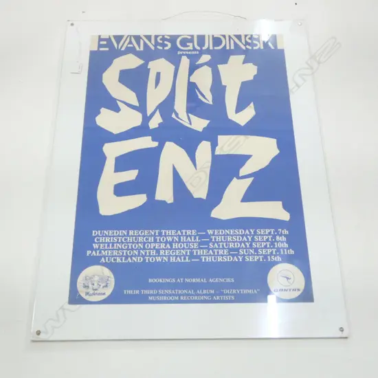 SPLIT ENZ TOUR POSTER 480x680mm