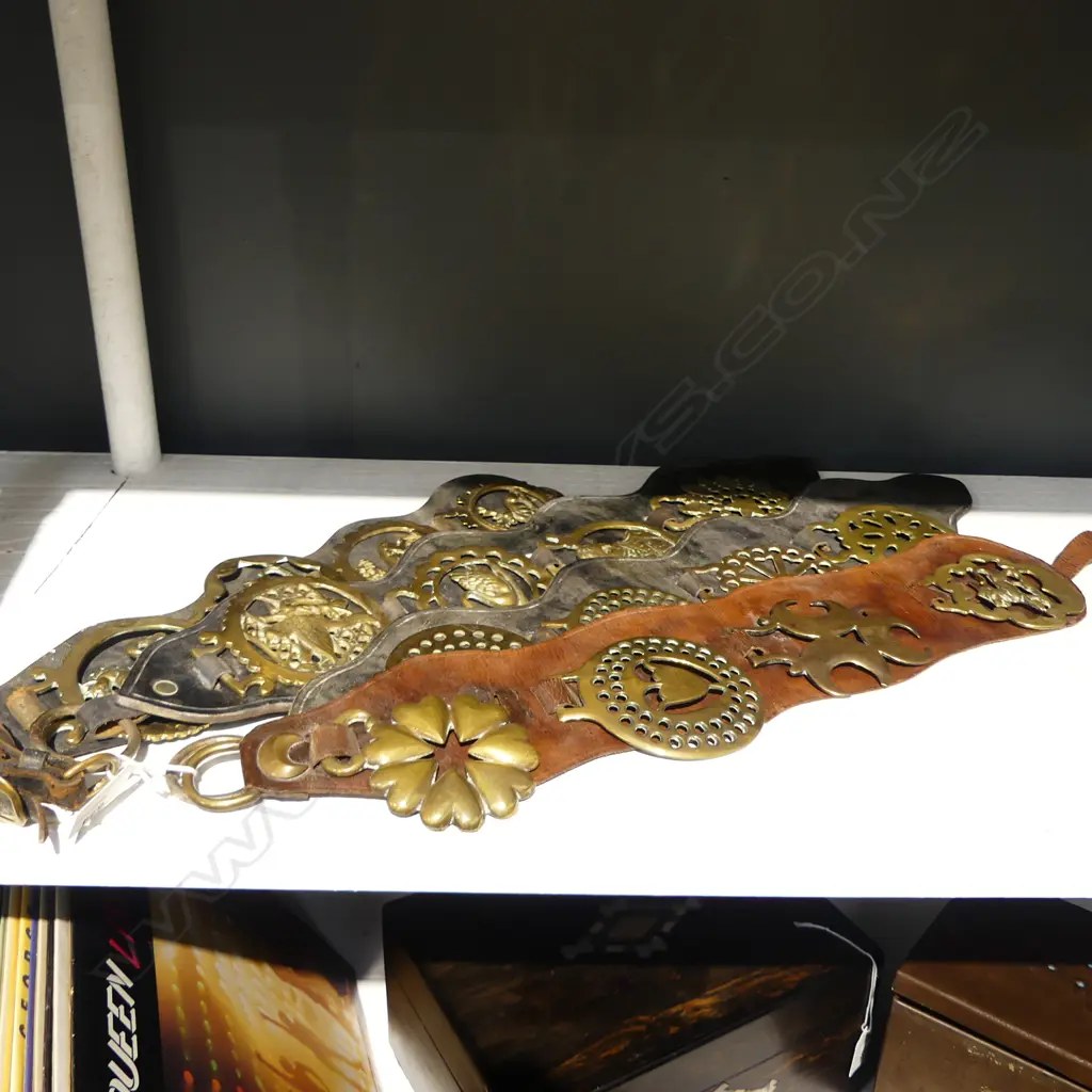 4 LEATHER MOUNTED HORSE BRASSES 4 BRASSES ON EACH 500MM Image 1++