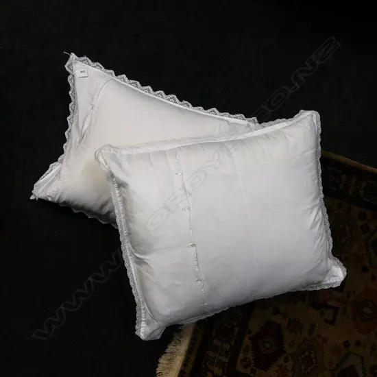 2 CUSHIONS w. LACE TRIM
