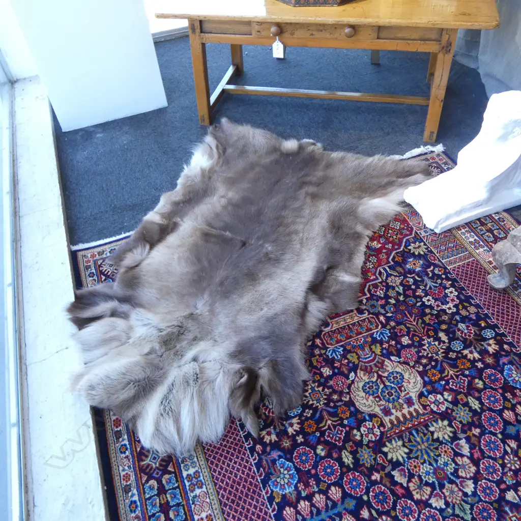 REINDEER HIDE RUG 1400x800mm Image 1++