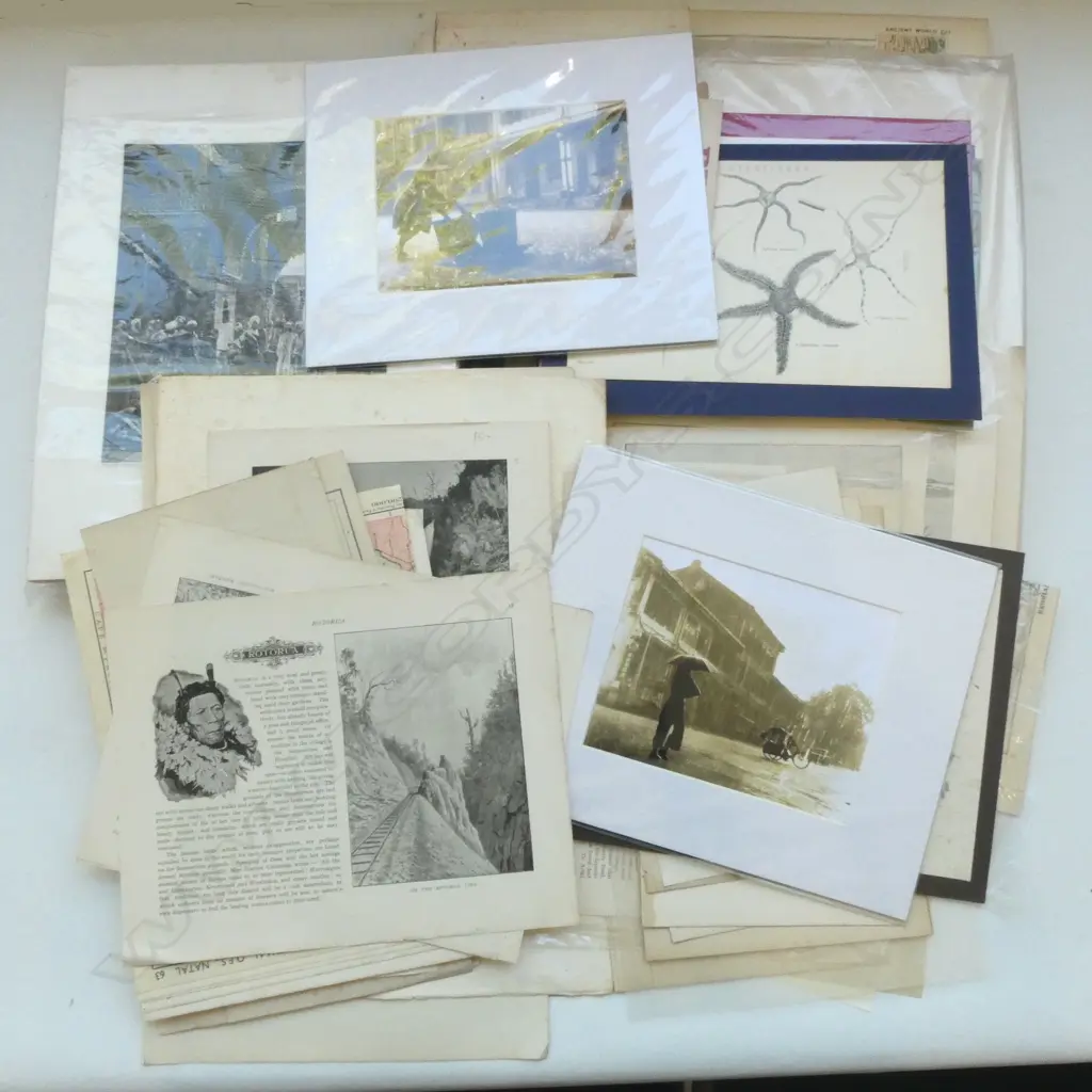 ASST. PRINTS ETC Image 1++