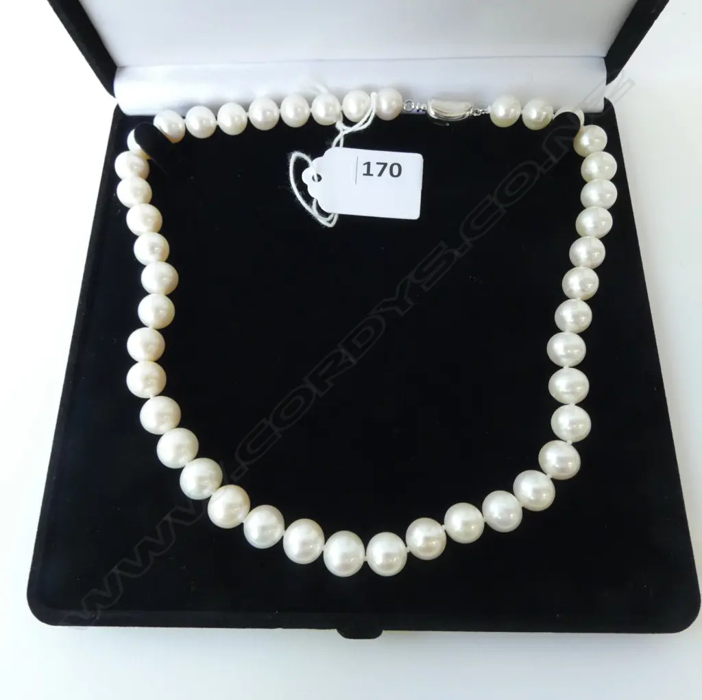 MODERN LGE FRESH WATER  PEARL NECKLACE with SILVER CLASP L.440mm Image 1++