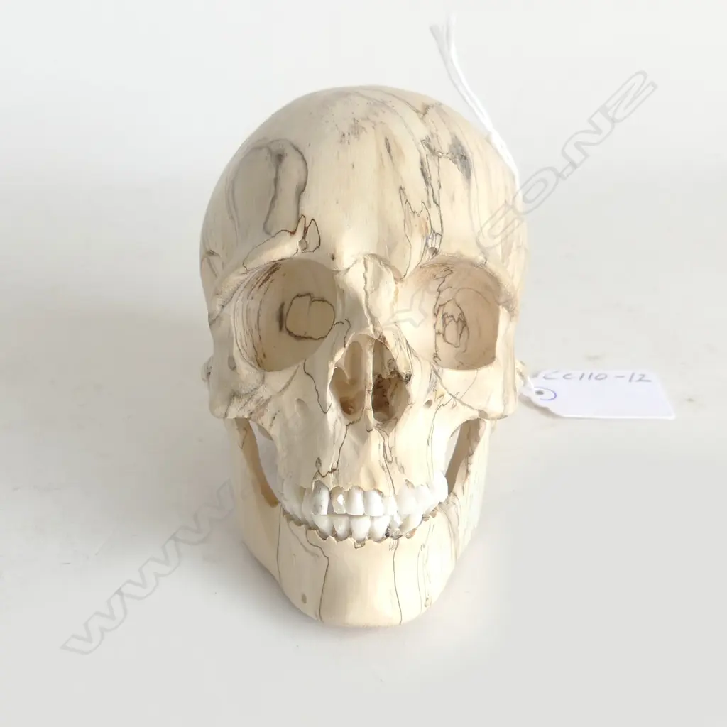 CARVED SOFTWOOD SKULL w ARTICULATED JAW Image 1++