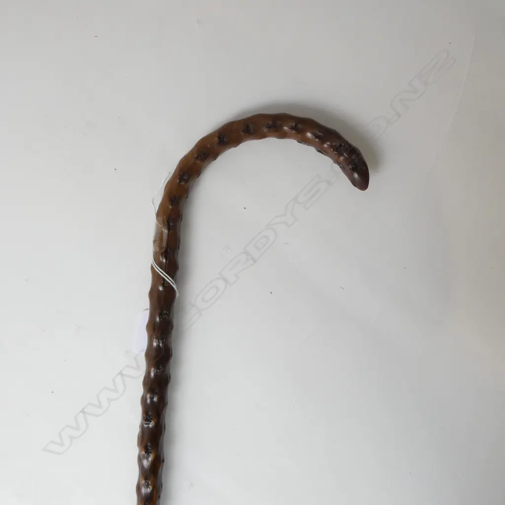 BLACK THORN WALKING STICK L.850mm Image 1++