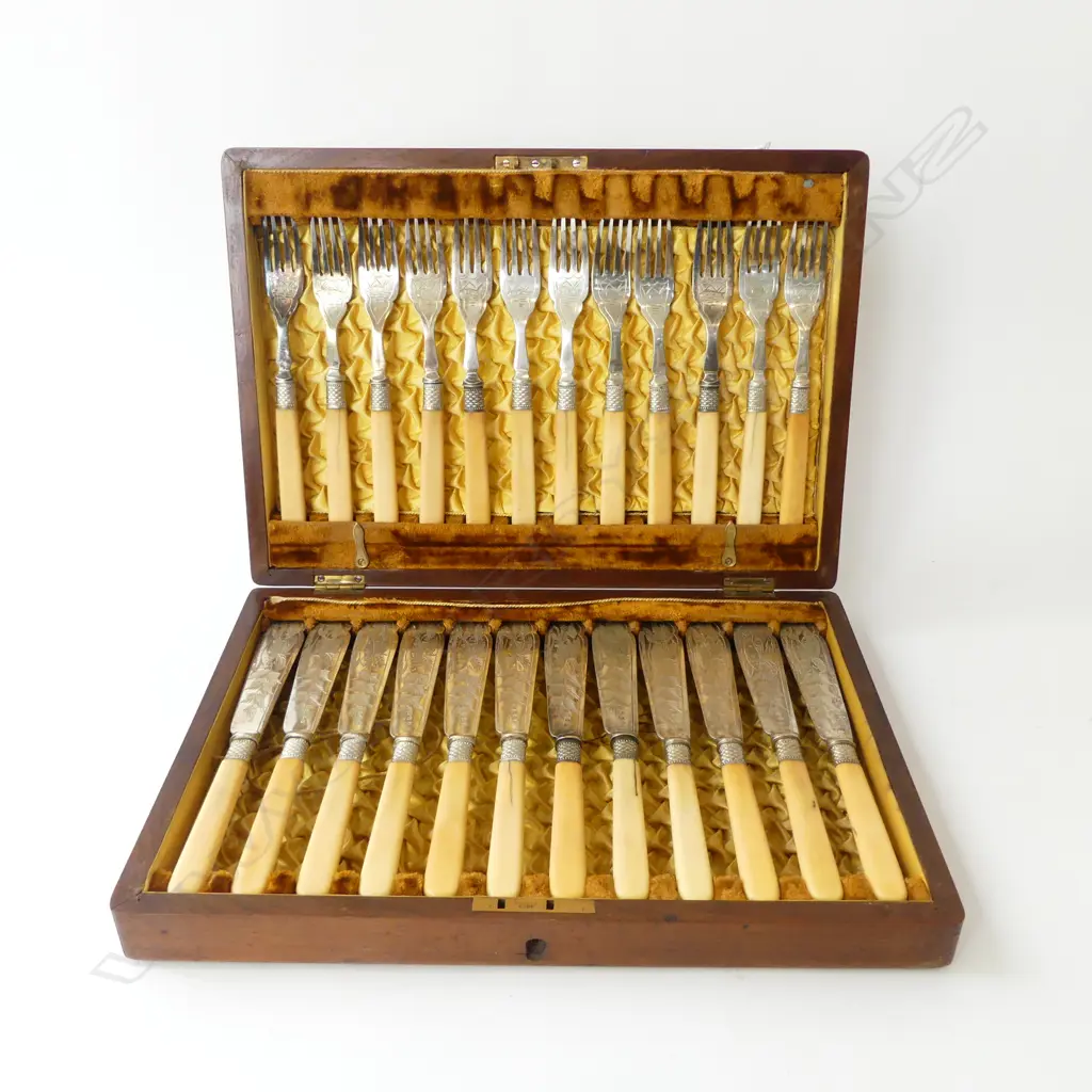 CANTEEN OF A.R & S EP BONE HANDLE CUTLERY 24PCE Image 1++