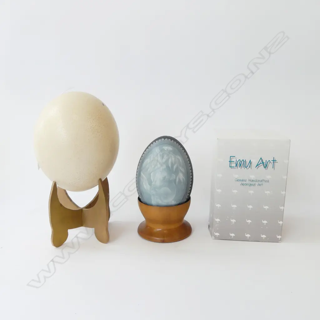  ETCHED EMU EGG & OSTRICH EGG Image 1++