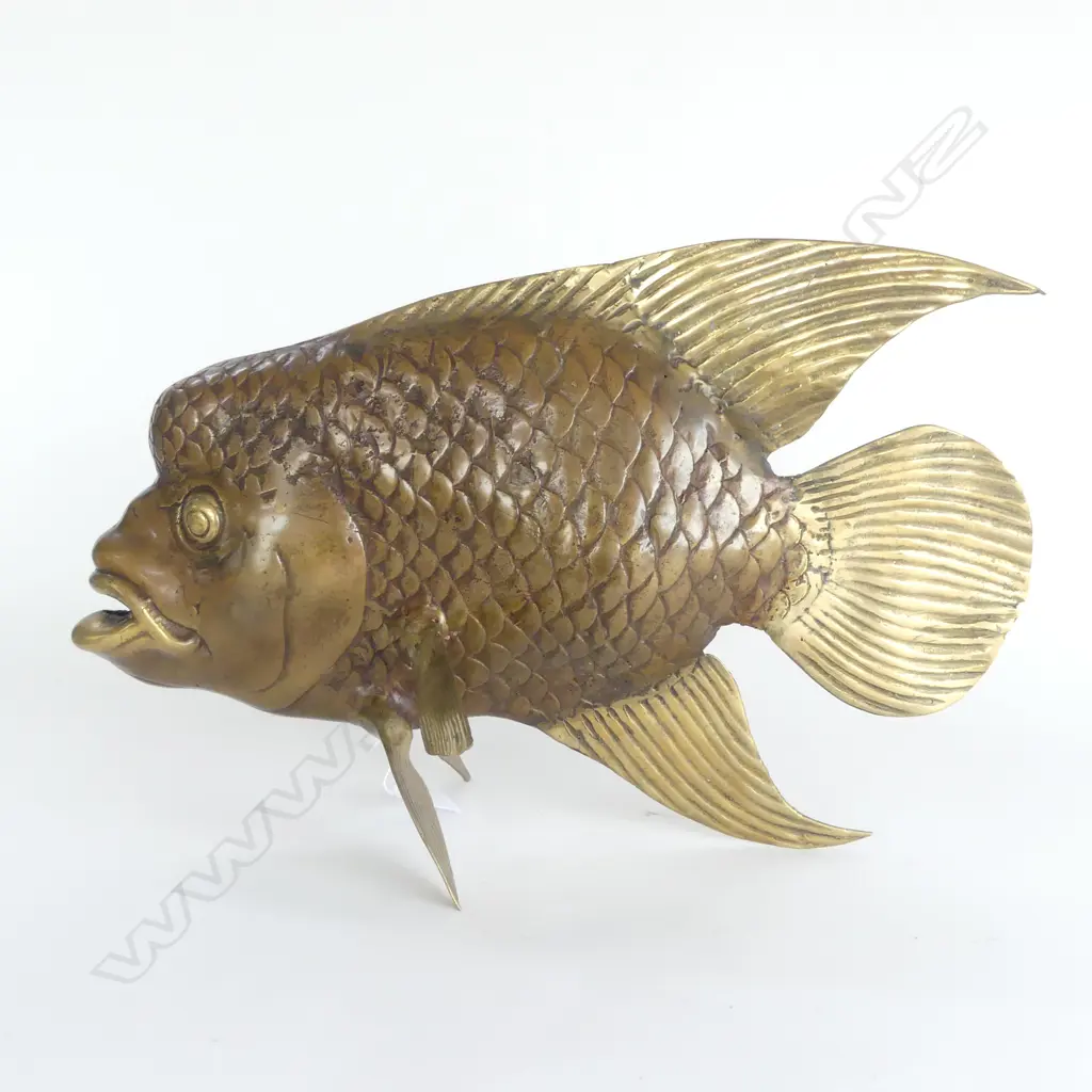BRONZE SCULPTURE HUMPHEAD WRASSE L.430mm Image 1++