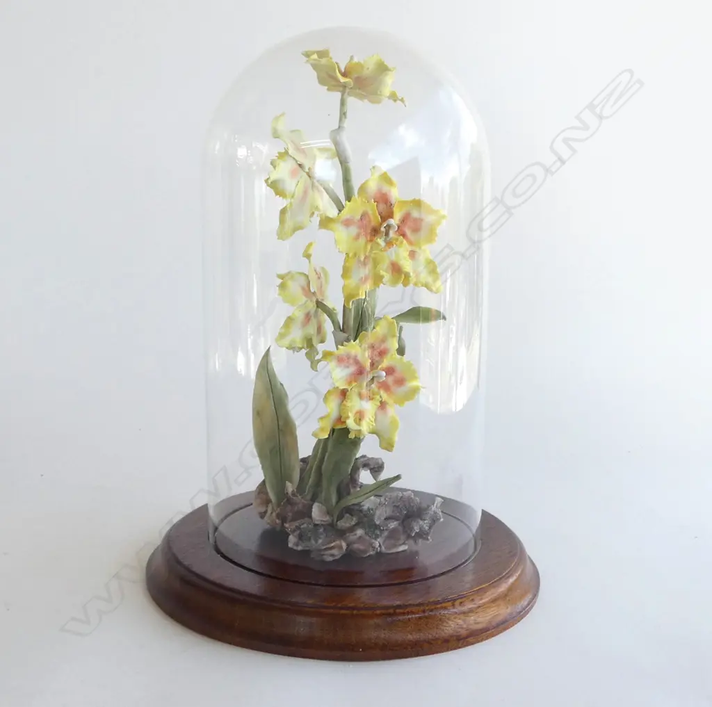 GLASS DOMED CHINA FLOWER DISPLAY H.290mm Image 1++