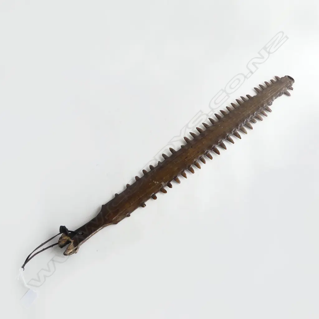 OLD SAWFISH BILL FIGHTING KNIFE/SWORD, LEATHER THONG TO HANDLE. L.740mm. old damage Image 1++