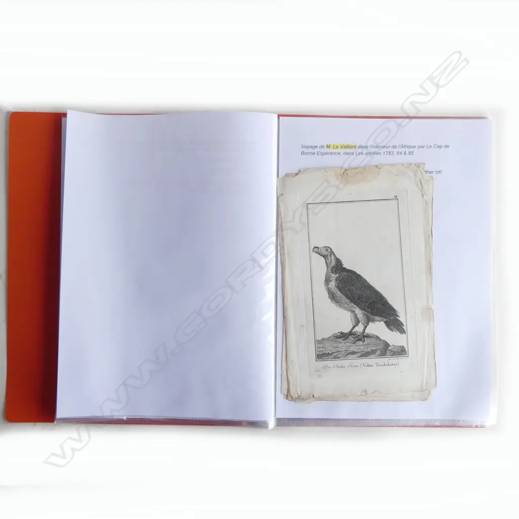 ALBUM OF 18th & 19thC ENGRAVINGS: smaller format. Animals. Religious etc Image 1++