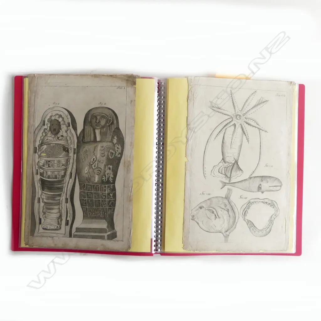 ALBUM mainly 17th & 18thC engravings. Includes sel. 1696 Danish Royal seals + Egyptian + fish + others: Niagara Falls.. Image 1++