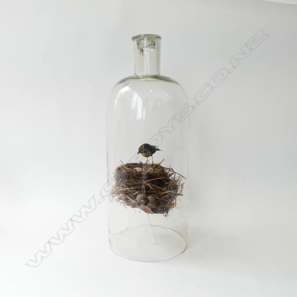 BIRD & NEST IN LIDDED GLASS BOTTLE H.550mm Image 1++