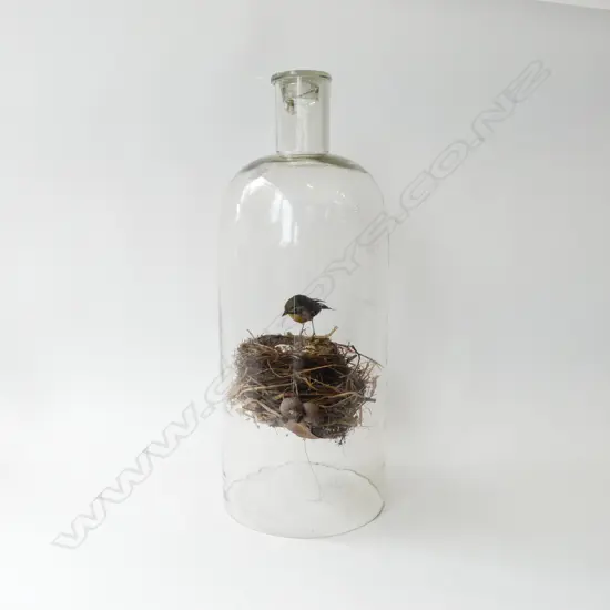 BIRD & NEST IN LIDDED GLASS BOTTLE H.550mm