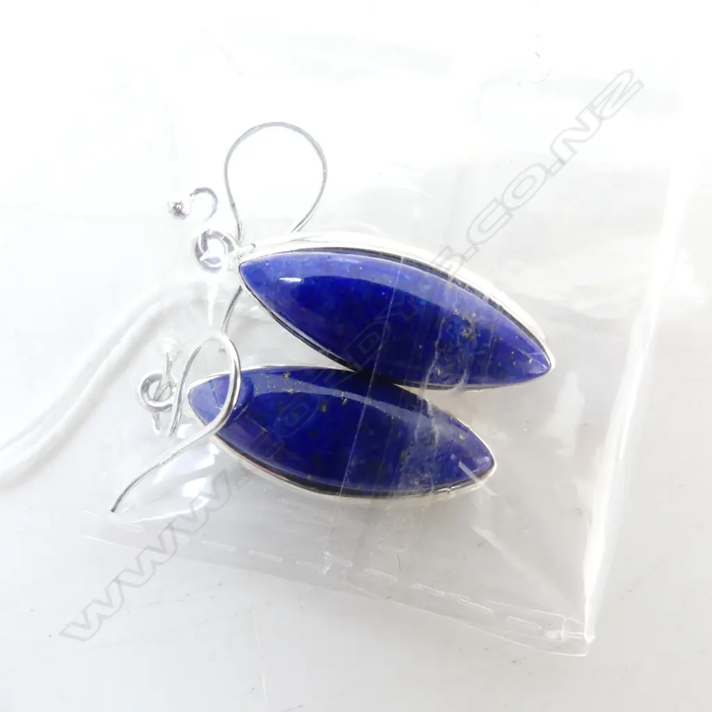 STG & LAPIS EARRINGS Image 1++
