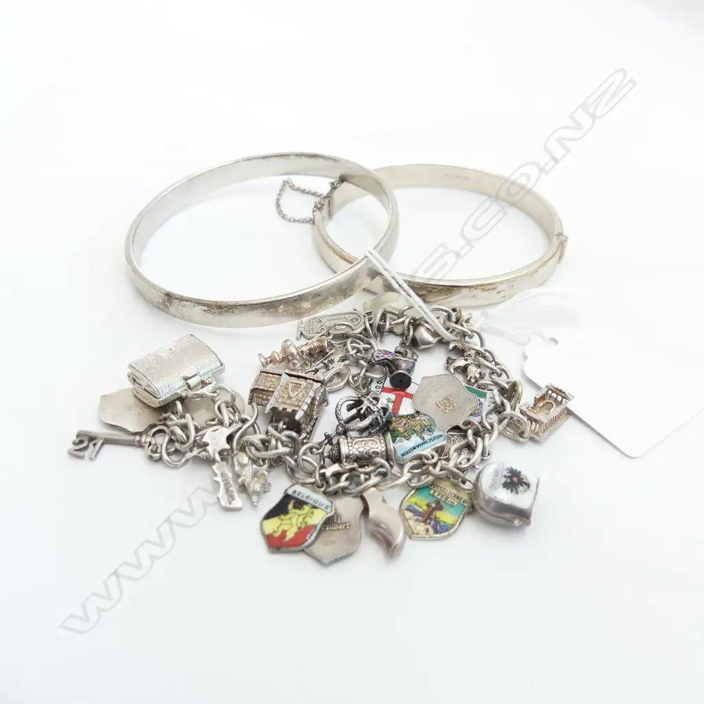 2 STG BANGLES 44.4 GM + 800 SILVER CHARM BRACELET Image 1++