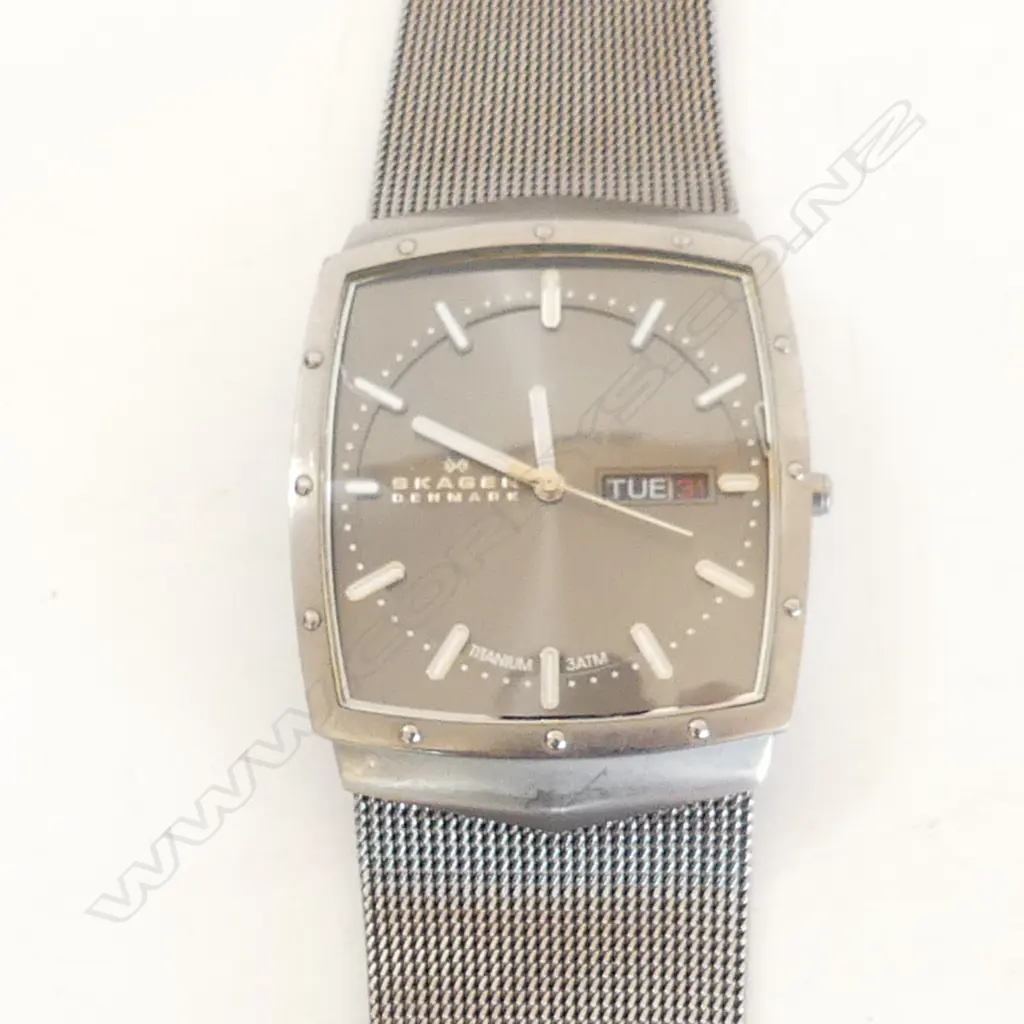 MENS SKAGEN TITANIUM WATCH. NEW BATTERY. SOME SCRATCHES TO FACE. Image 1++