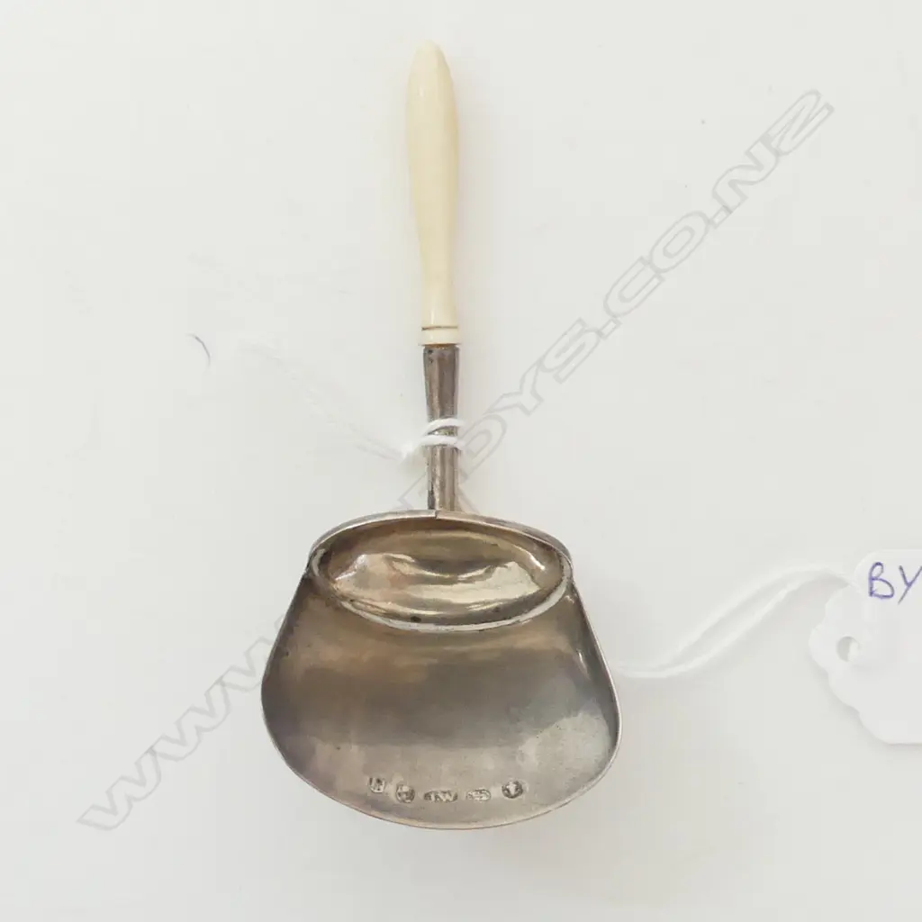 George III silver caddy spoon turned bone handle. Birmingham 1808 by Joseph Willmore  Image 1++
