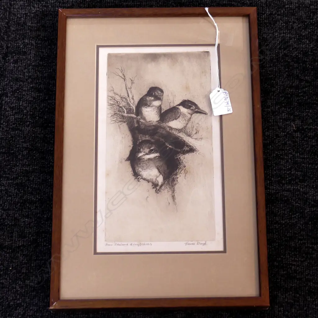 TREVOR LLOYD 'NEW ZEALAND KINGFISHES' ETCHING 270x155mm Image 1++
