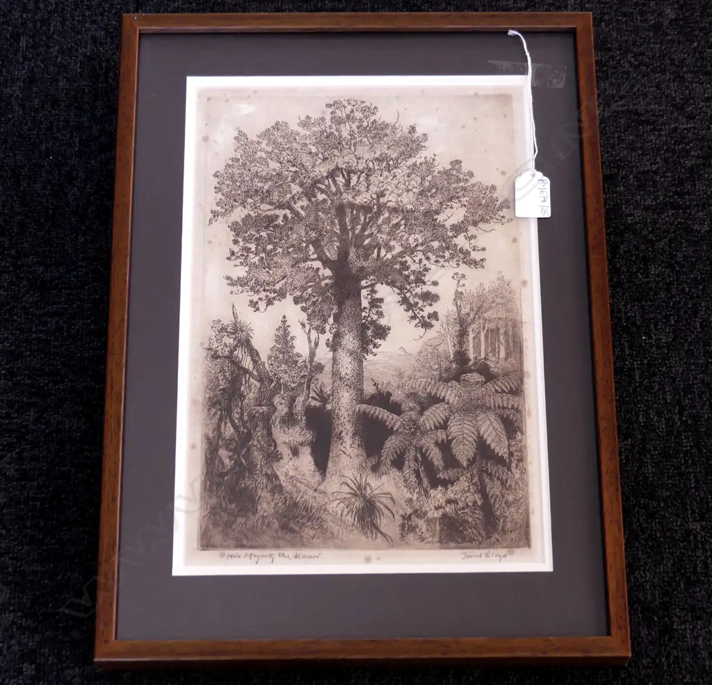 TREVOR LLOYD 'HIS MAJESTY THE KAURI' ETCHING 350x235mm Image 1++