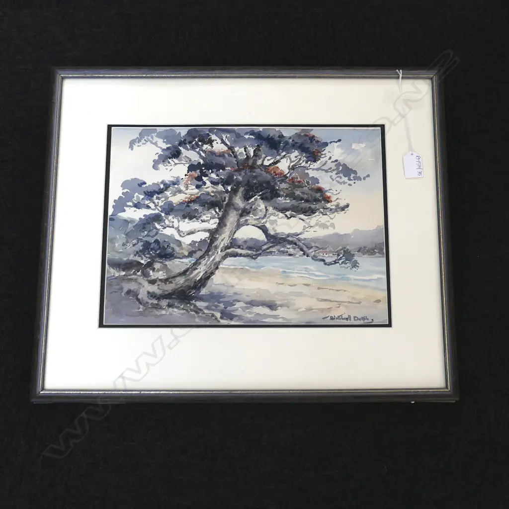 BIRTCHNELL DELPH POHUTUKAWA W/C 265x355mm Image 1++