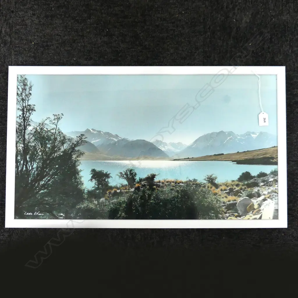 WHITES AVIATION LAKE OHAU (RECENTLY REFRAMED) 375x680mm Image 1++
