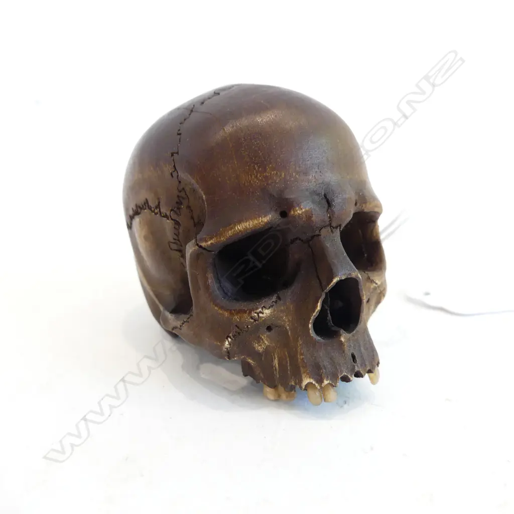 SKULL CARVING,WOOD AND BONE,MEMENTO MORI L 600 MM Image 1++