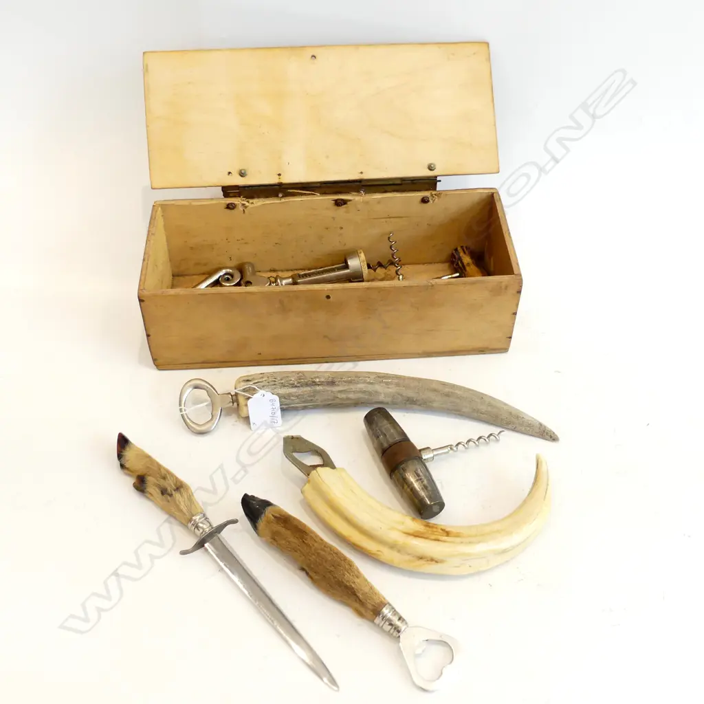 ASST BOTTLEOPENERS AND CORK SCREWS INCLUDING ONE LARGE SOUTH AFRICAN WART HOG TUSK Image 1++
