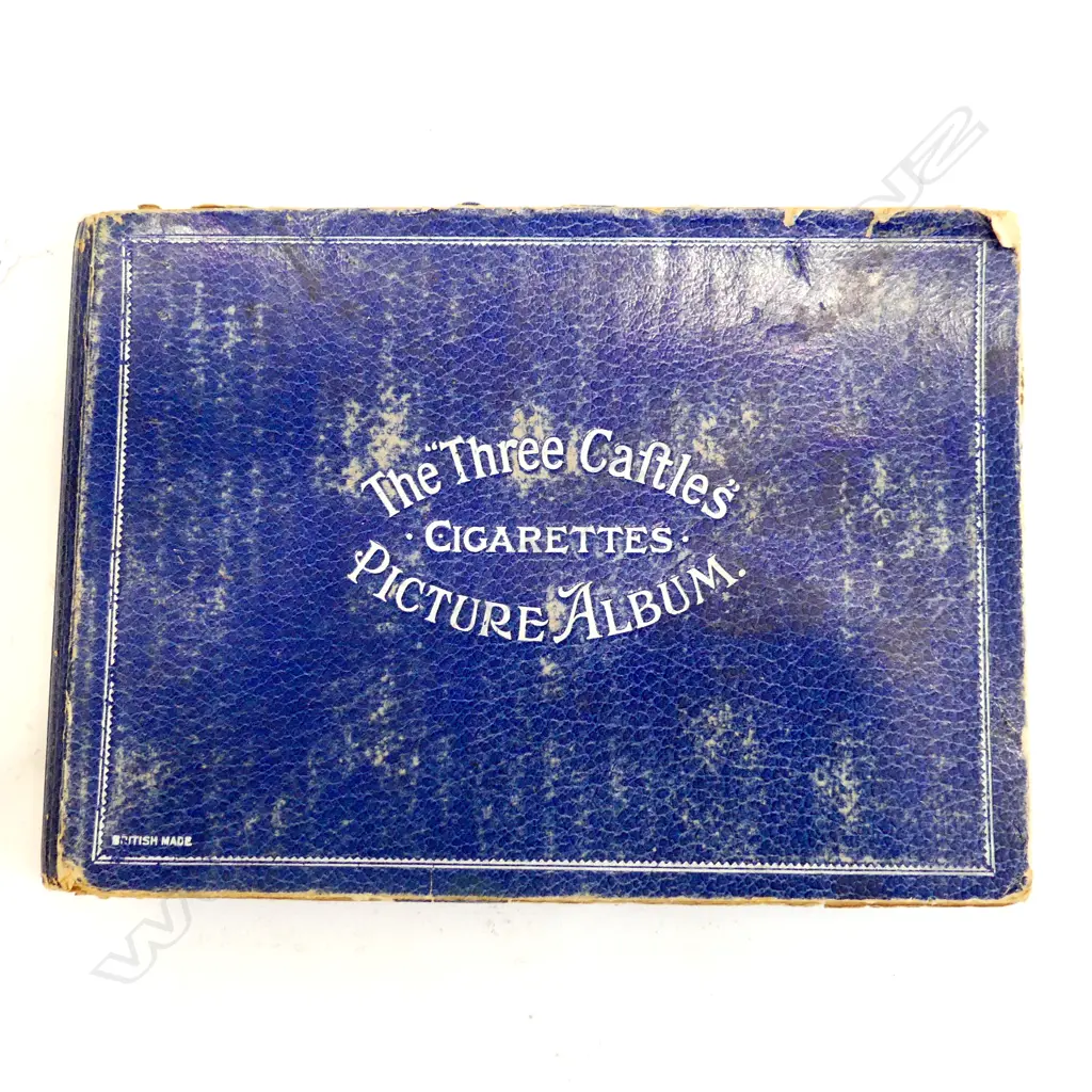 CIGARETTE CARD ALBUM NZ PHOTOGRAPHIC MAORI IN ROTORUA, MOTORCARS, ANCIENT CHINESE, BOY SCOUTS, CHILDREN OF THE WORLD ETC Image 1++