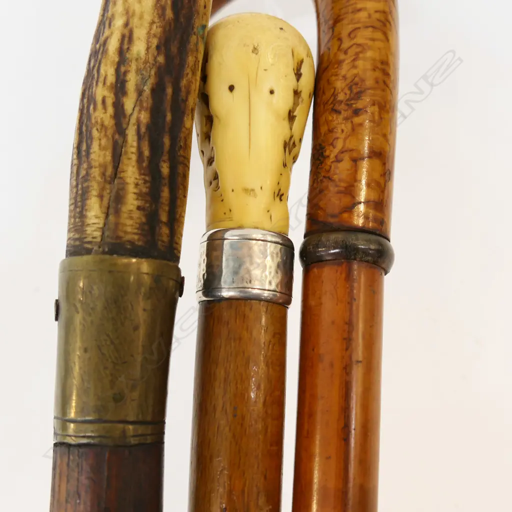 3 WALKING STICKS WITH HORN AND ANTLER HANDLES H 910 MM Image 1++