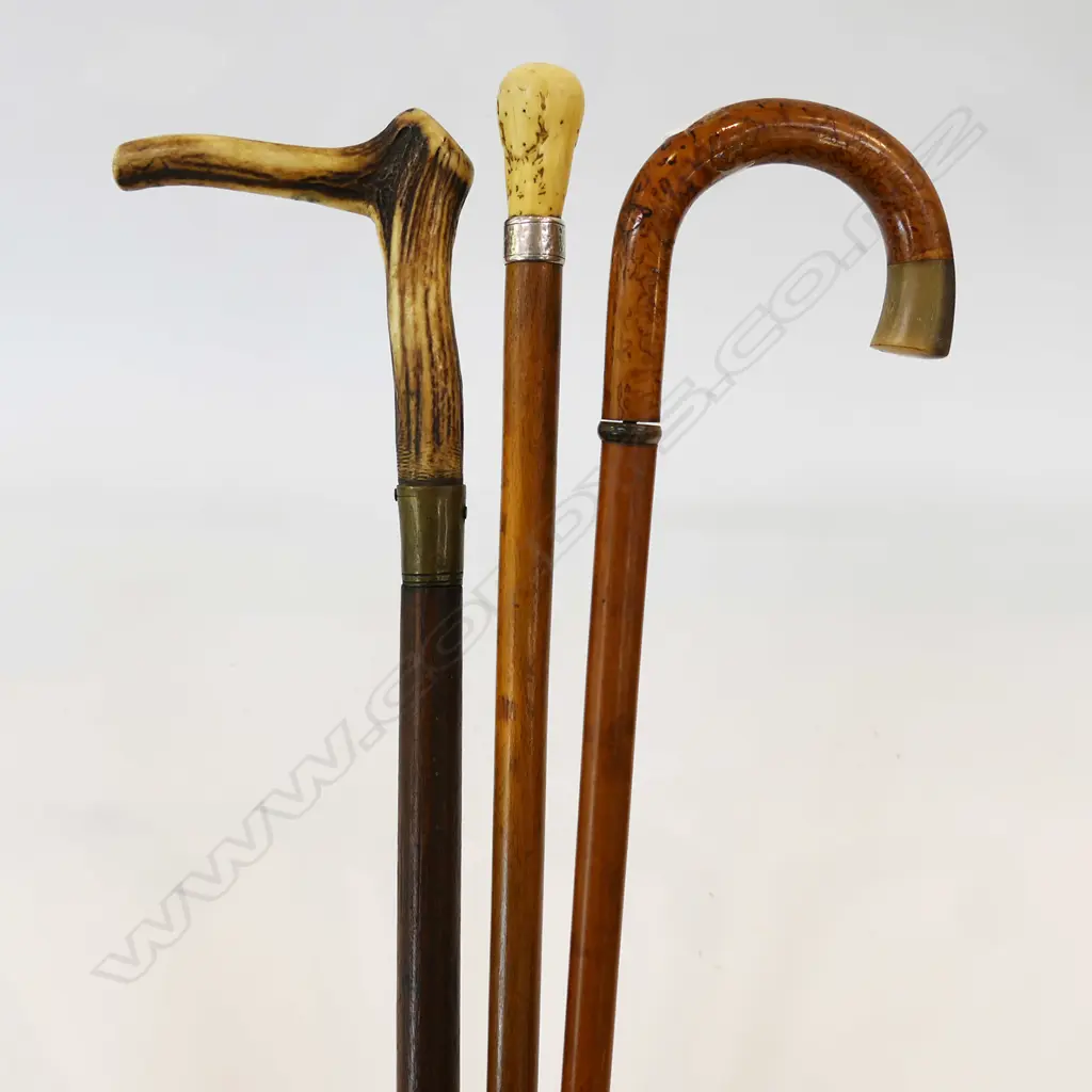 3 WALKING STICKS WITH HORN AND ANTLER HANDLES H 910 MM Image 1++