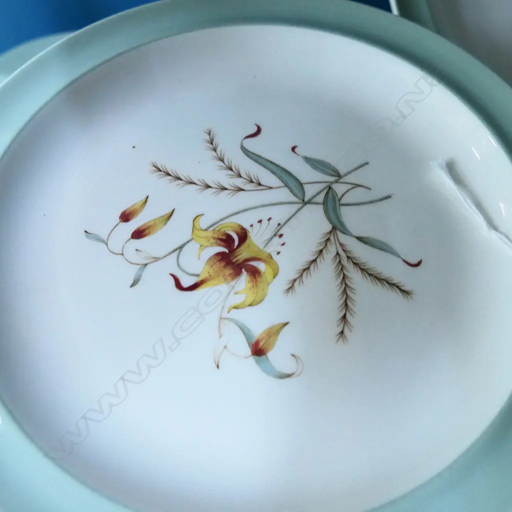 PART WEDGWOOD DINNER SERVICE TIGER LILY PAT Image 1++