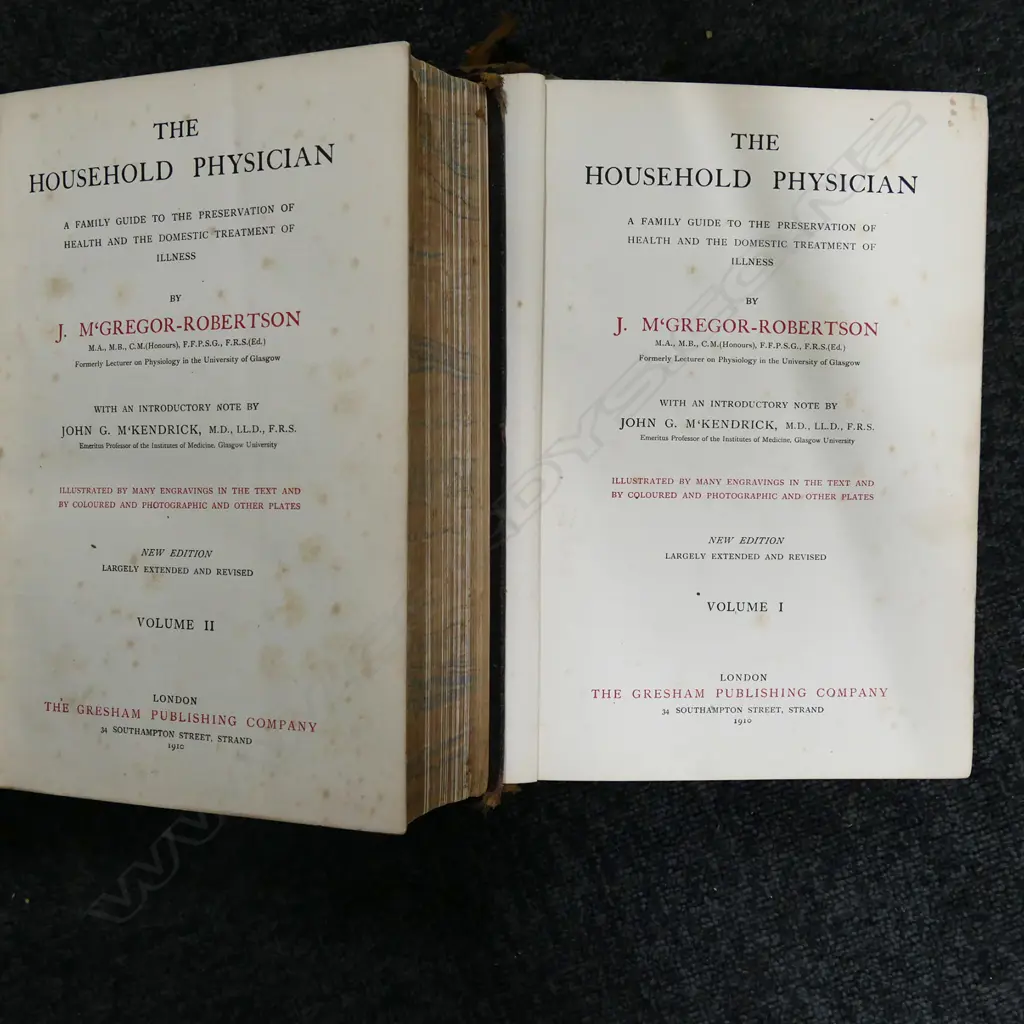 ASST ANTIQUE BOOKS VICT PHOTO ALBUMS ETC Image 1++