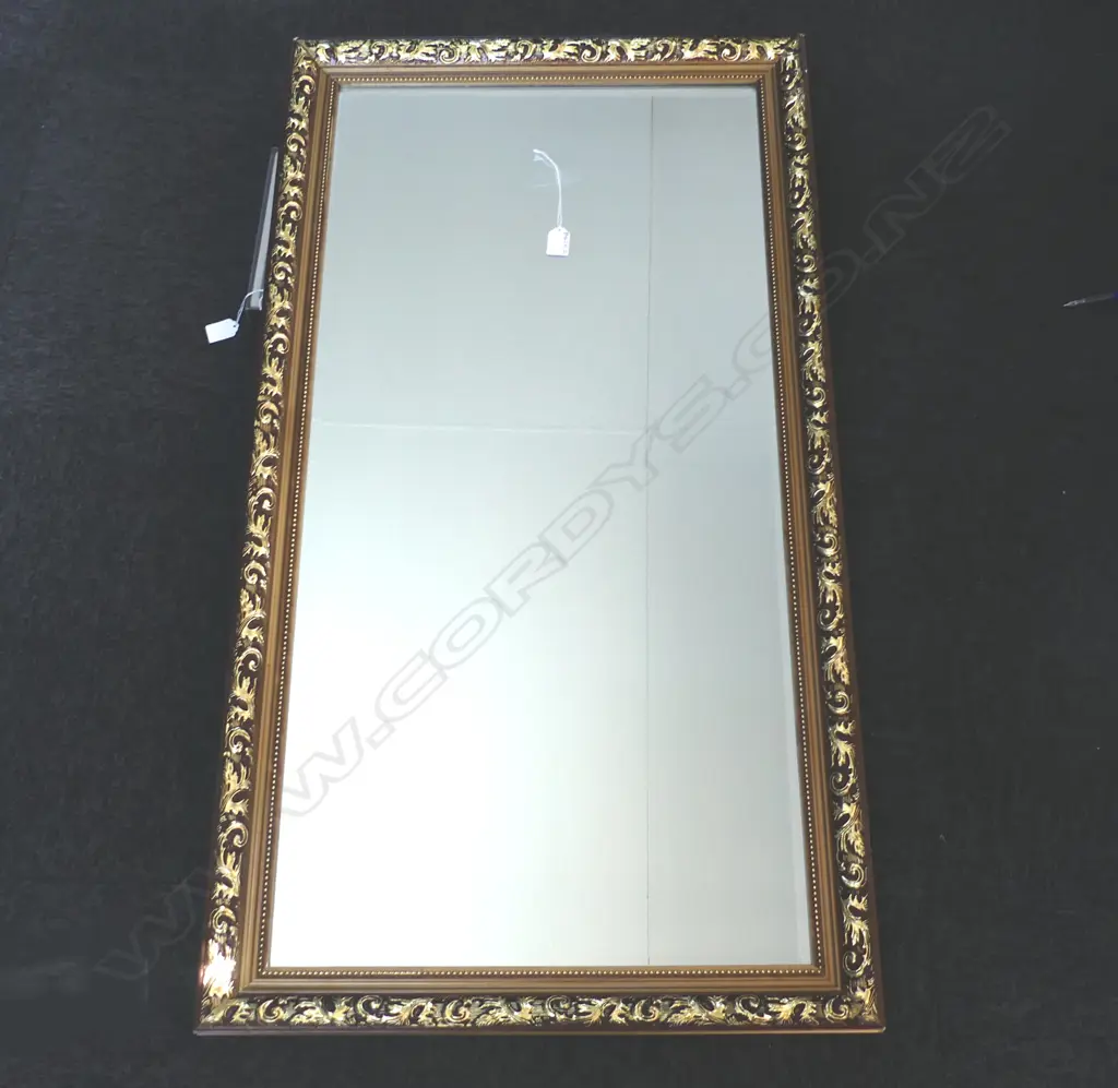LG GILT MIRROR 600x1100mm Image 1++